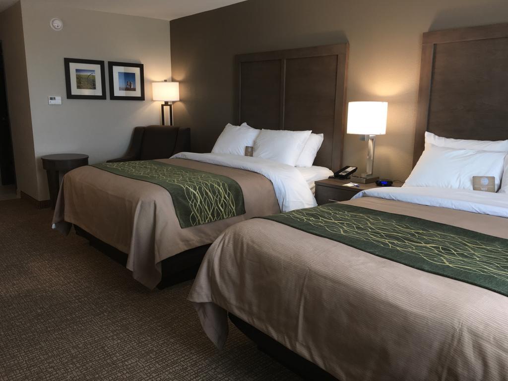 Comfort Inn & Suites Snyder Екстериор снимка