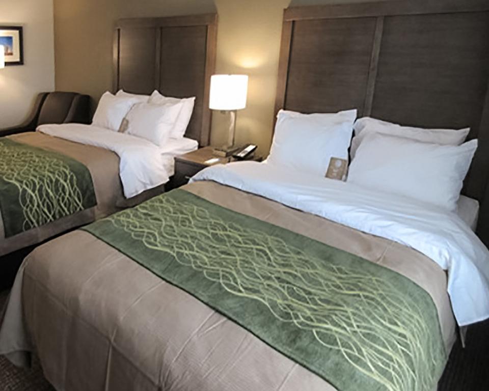 Comfort Inn & Suites Snyder Екстериор снимка